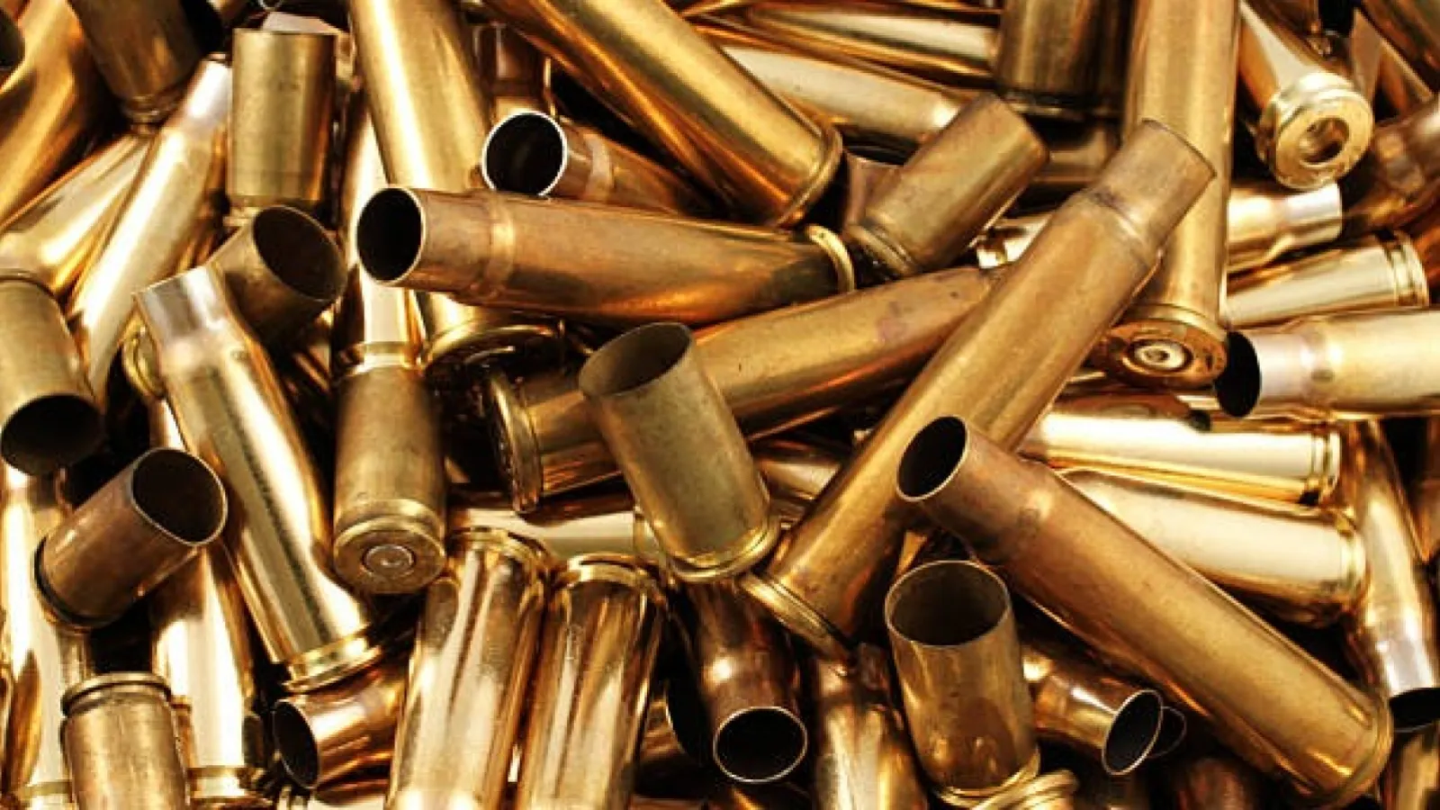 thegunsite.com.au story 